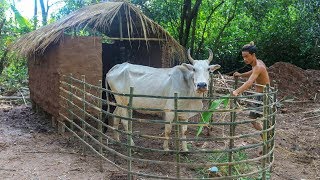 Build Hut for cow  House cow [upl. by Araeit810]