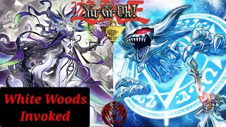 Invoked White Forest  Deck Profile ITA Luglio 2024 YUGIOH [upl. by Rolfston]