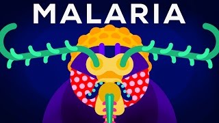 Genetic Engineering and Diseases – Gene Drive amp Malaria [upl. by Nymassej]