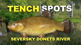 Russian Fishing 4 TENCH SPOTS Seversky Donets River [upl. by Daph]