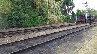 1 September 2024 Stanier Class 8 48305 [upl. by Ergener]