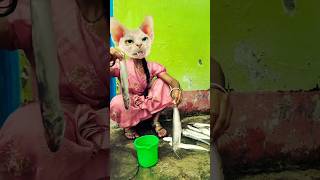 47 Dhinka Chika Dhinka Chika 🙈🙈🙈🙈👺👺👺👺👺😻😻😻🔥🔥trending shortvideo viral love funny cute [upl. by Aicirt]