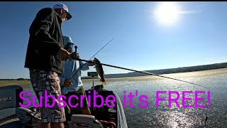 Guntersville Lake Froggin Oct2024 Subscribe its FREE [upl. by Milka]