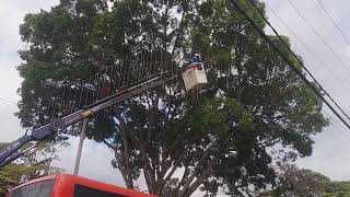 Instalando el alumbrado navideño en Ibagué [upl. by Sibylla971]