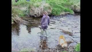 Crossing The Stream in Ballyduff [upl. by Babby]