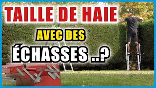 Estce une Super Idée de Tailler une Haie avec des ÉCHASSES [upl. by Yrehcaz]