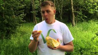 MY JACKFRUIT TASTING REACTION [upl. by Barolet]