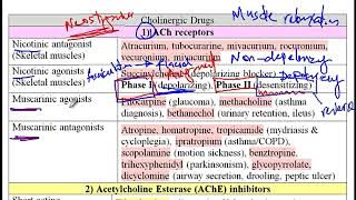 USMLE Video 223 Cholinergic System Neurotransmission Receptor Pathways and Pharmacological Agents [upl. by Bonney]