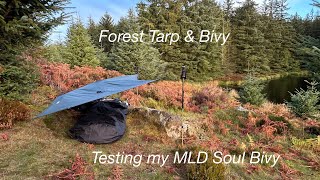 Northumberland Forest Tarp amp Bivy [upl. by Velleman]