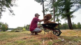 Muskoka cottage autumn clean up [upl. by Cheyne]