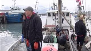 Halibut Fishing A Family Affair [upl. by Nonnahs]