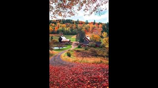 September Secrets in the garden fairyhouse pumpkinseason pumpkin pumpkinhouse inthegarden fall [upl. by Ploss]