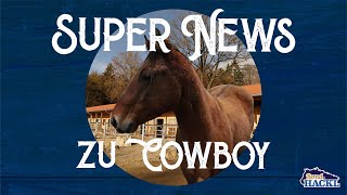 Super News zu Cowboy [upl. by Sarilda]