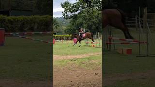 Jump Clinic 60  80cm horse equestrain showjumping eventing fyp viral [upl. by Okimuy]