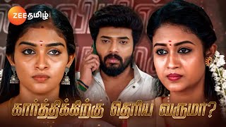 Karthigai Deepam கார்த்திகை தீபம்  தினமும் இரவு 9 மணிக்கு  12 Dec 23  Promo  Zee Tamil [upl. by Norri197]