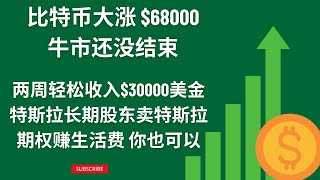 卖特斯拉期权获取稳定现金流可能是一种不错的退休方式 比特币大涨 [upl. by Airotnes]