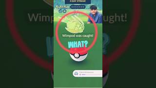 Wimpod Pokemon GO caught today ytshorts caught boss music status [upl. by Aikkan]