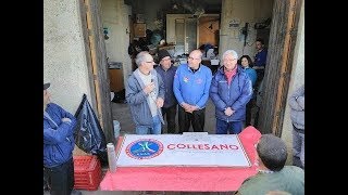 Potatura olivo a vaso policonico  corso  Sicilia Agricoltura Mario Liberto [upl. by Connelly]