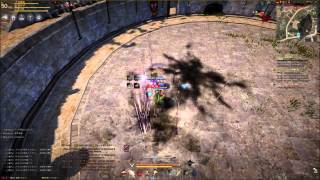 【Fury】Black Desert 黒い砂漠 PvP Warrior VS Sorcerer【対練】 [upl. by Reseda]