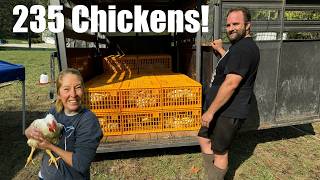 Transporting Chickens To Processing amp Time To MOVE THE GOATS farmvlog [upl. by Arakaj136]