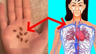 What Happens To Your Body When You Start Eating Flax Seeds Daily [upl. by Atiuqrahs965]