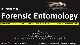 Forensic Entomology [upl. by Derayne]