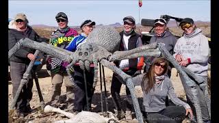 Rough Riders Do Dollar Cabin A Short Rock Crawl In Lake Havasu AZ W A Skydio2 On 1132021 [upl. by Divd]