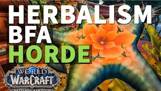 Seeking More Knowledge Quest WoW BfA Herbalism [upl. by Vacla]