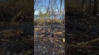 Buckeye Island On Lake Erie island [upl. by Ymia]