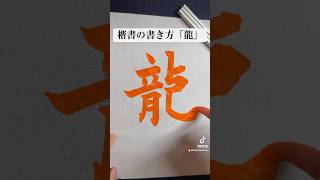 楷書の書き方例「龍」shorts calligraphy 書道 [upl. by Miarzim]