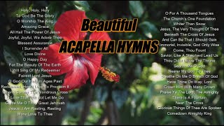 Beautiful Acapella Hymns [upl. by Raskind984]