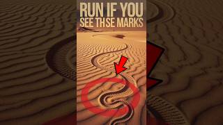 Run If You See These Marks ANYWHERE 😨 shorts viralvideo [upl. by Selegna]