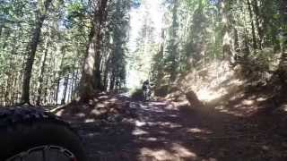 Alpe Adria Mountainbike WeltkriegsTransalp Tag 2 [upl. by Felicdad]