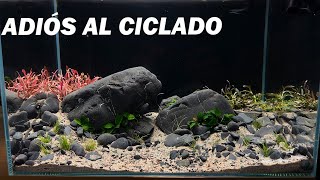 ¡NO MAS CICLADO A OSCURAS LLEGARON LAS PLANTAS PARA EL ACUARIO [upl. by Nicholas]