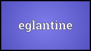 Eglantine Meaning [upl. by Trilly]