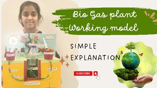 Bio Gas plant working Model simple explanation gobar gas  renewable energy [upl. by Castro]