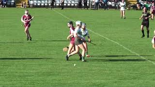 241019 Intermediate Camogie Co Final Bunclody vs Cloughbawn 1st Half [upl. by Esiuole]