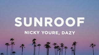 Nicky Youre dazy  Sunroof Lyrics [upl. by Anaujahs701]