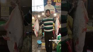 Meerut Ki Biggest Fish Market Sotiganj Market  viral food trending [upl. by Cooperstein]