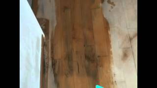 ONE DAY REPAIR Water damaged wood flooring [upl. by Brynna]