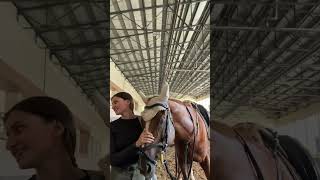 Diğeri telif yedi de binicilik equestrian horse vlog love [upl. by Enylcaj]