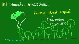 Floresta Amazônica  Ecologia  Biologia [upl. by Charmian646]