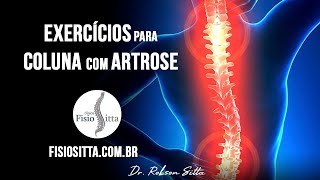 EXERCÍCIOS ARTROSE da COLUNA VERTEBRAL MELHORA da DOR e MOBILIDADE  Fisioterapia Dr Robson Sitta [upl. by Yengac]