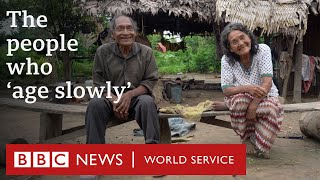 The Tsimane Amazon tribe where people age better  BBC World Service [upl. by Anitac]