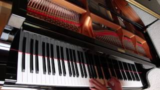 Mumford and Sons  Little Lion Man Benedikt Waldheuer Piano Cover [upl. by Ytsanyd]