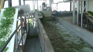 Hughes Equipment Flume Washer with Green Beans [upl. by Eniad]