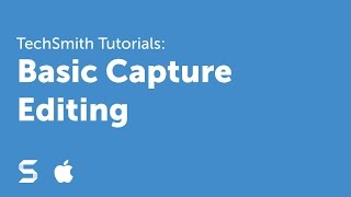 Snagit 4 Basic Capture Editing [upl. by Lleuqram754]