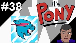 LOGO HISTORY W 38  Its Pony amp MrBeast [upl. by Nennarb]