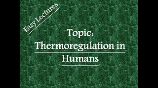 Thermoregulation in Humans Physiological thermoregulation [upl. by Kling]