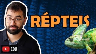 Répteis  Aula 30  Módulo VI Zoologia  Prof Gui [upl. by Eirrem]